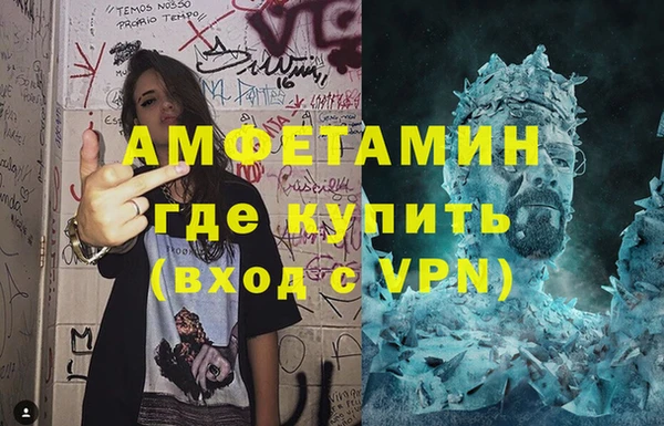 индика Балахна