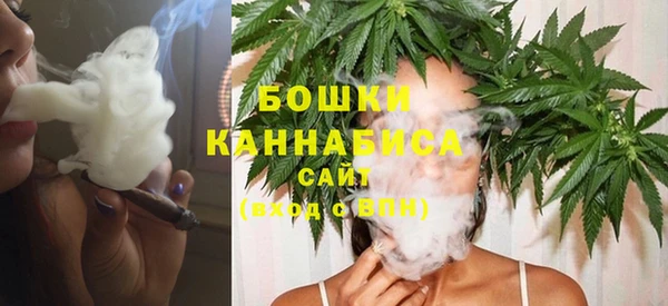 индика Балахна
