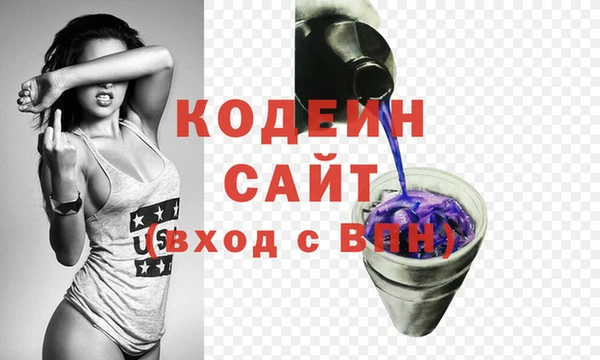 индика Балахна