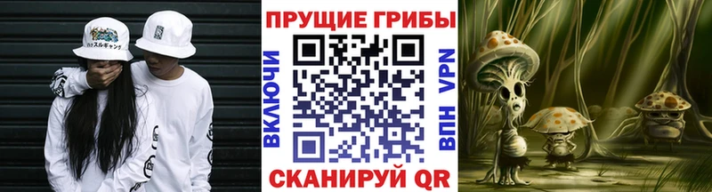 Псилоцибиновые грибы мухоморы Туймазы